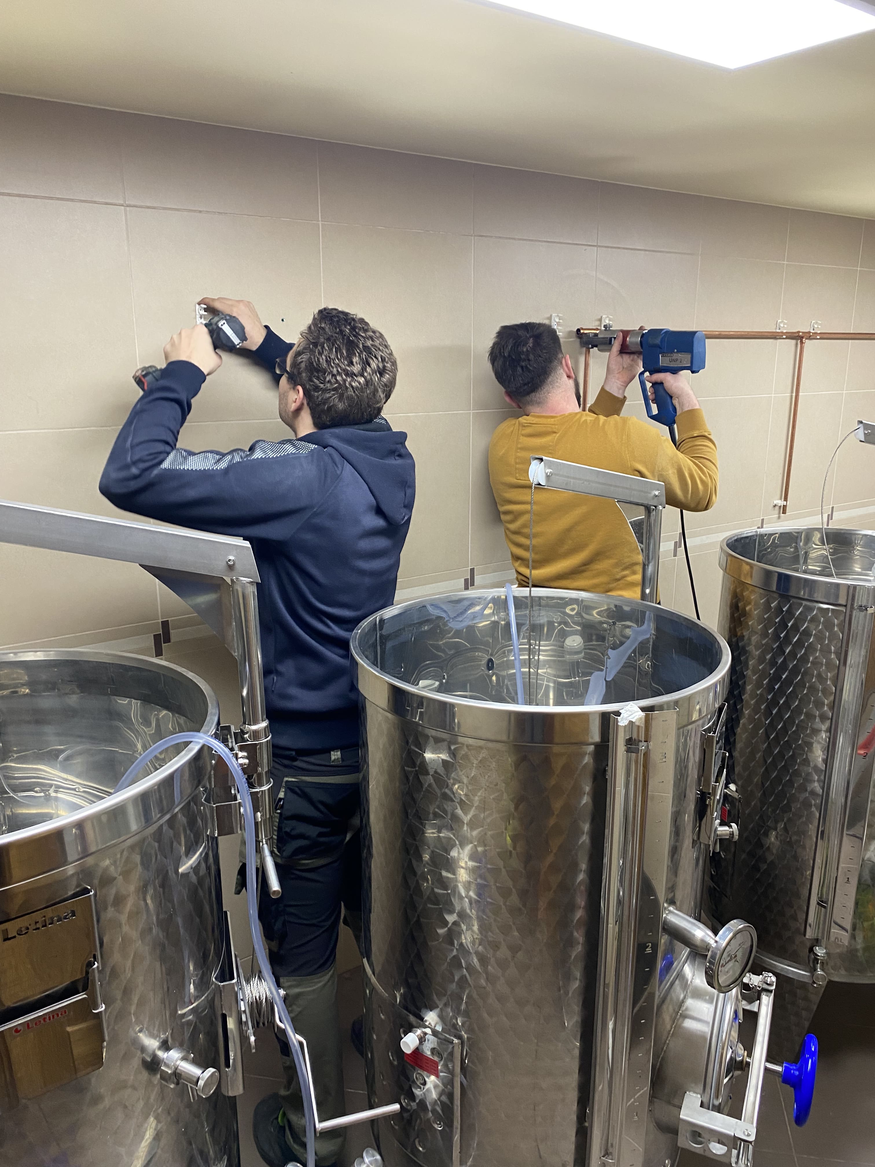 Winnica Złotoryja 1-min